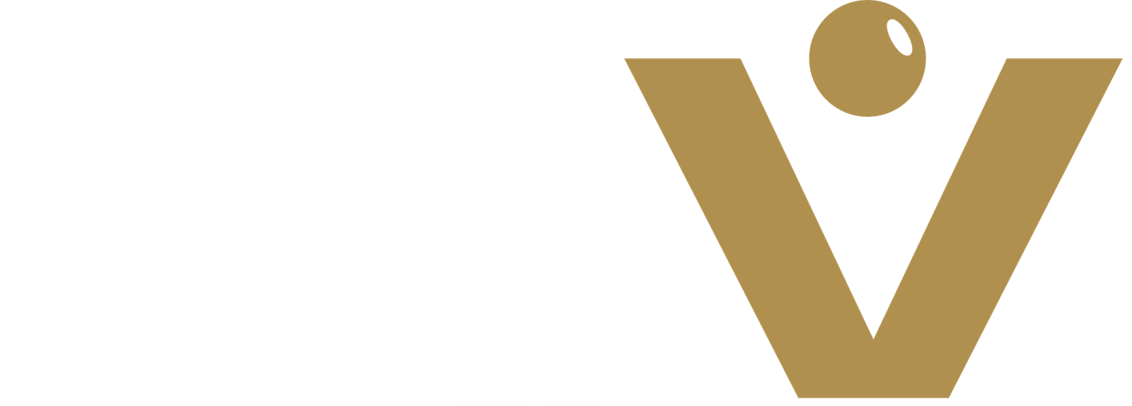 Fundação Gerando Valor